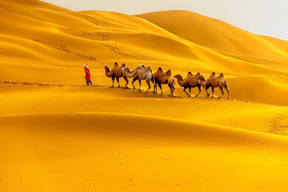 bengladesh arabic guide pdf